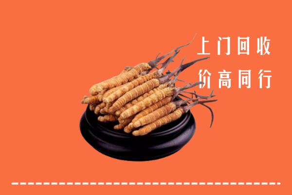 高价求购：北京海淀区回收散虫草