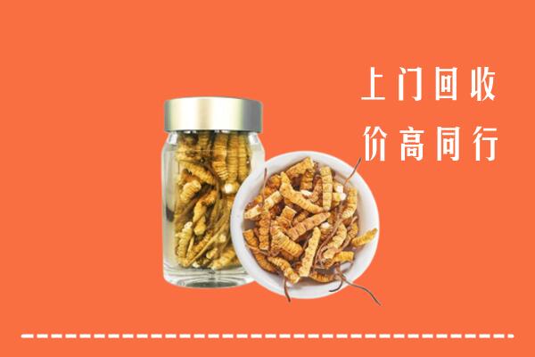 北京海淀区回收冬虫夏草